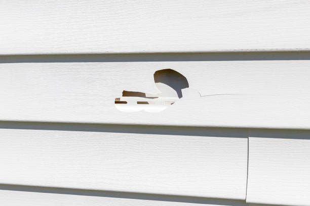 Best Aluminum Siding Installation  in Gillette, NJ