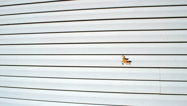 Best Wood Siding Installation  in Gillette, NJ