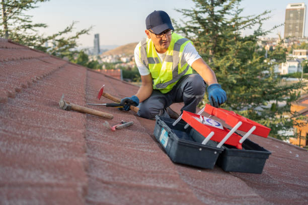Best Storm Damage Siding Repair  in Gillette, NJ